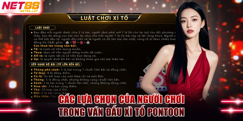 Các lựa chọn của người chơi trong ván đấu Xì Tố Pontoon