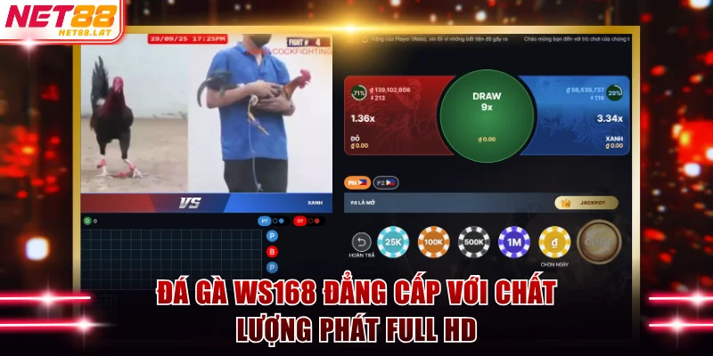 Đá gà WS168 đẳng cấp với chất lượng phát full HD
