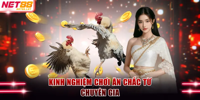 Kinh nghiệm chơi ăn chắc từ chuyên gia