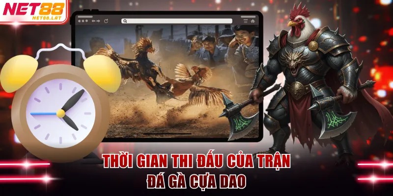 Thời gian thi đấu của trận đá gà cựa dao