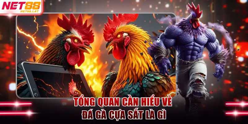 Tổng quan cần hiểu về đá gà cựa sắt là gì